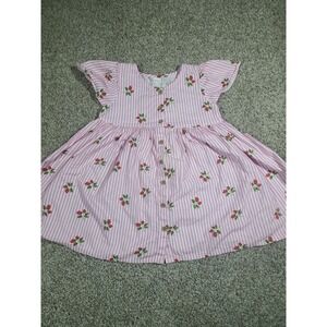 Next Pink Strawberry Stripe Button-Up Dress 4-5 years